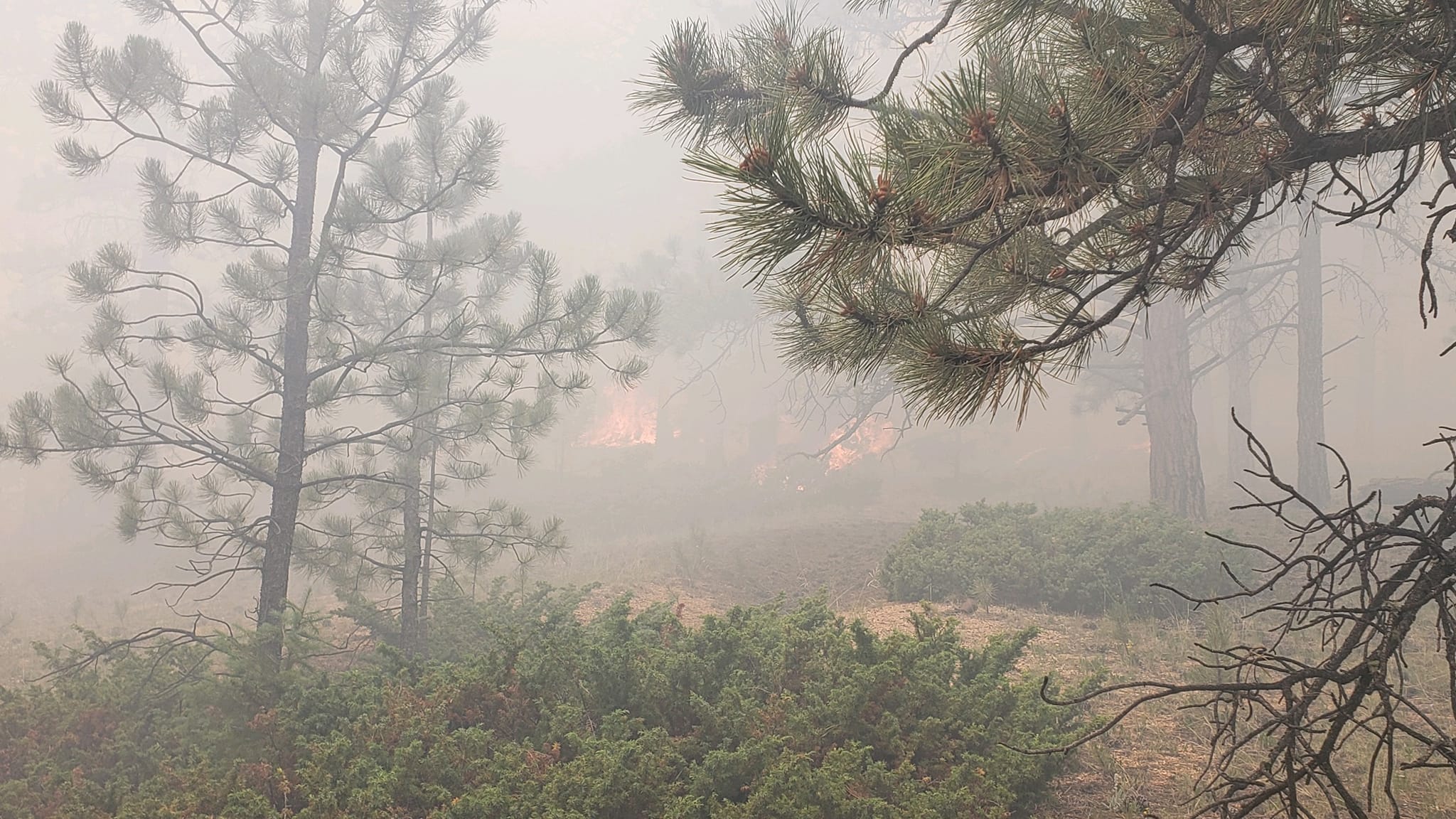 A pre-evacuation warning has been issued for Druid Hills Subdivision due to a wildland fire near Manchester Place.